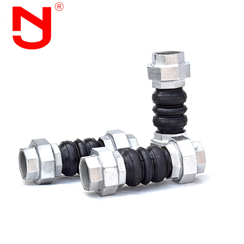 Stainless Steel Screwed Union Bspt Threaded Expansion Joint Rubber Connector voor pijpen