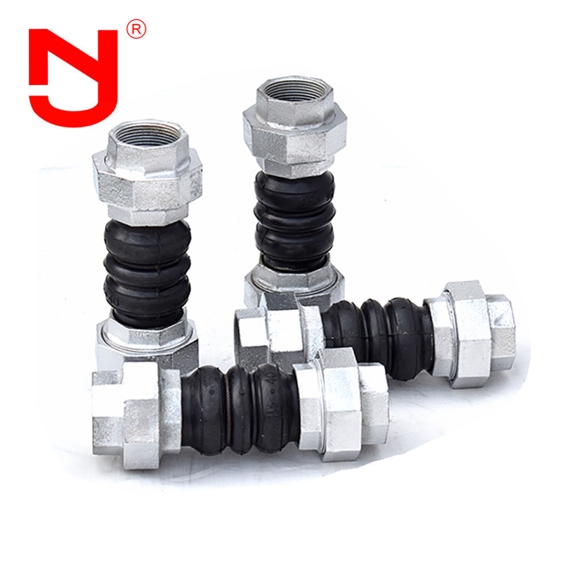 Stainless Steel Screwed Union Bspt Threaded Expansion Joint Rubber Connector voor pijpen